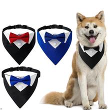 New Formal Pet British Wedding Suit Gentleman Scarf Bow Tie