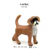 127-250 boxer dog cub