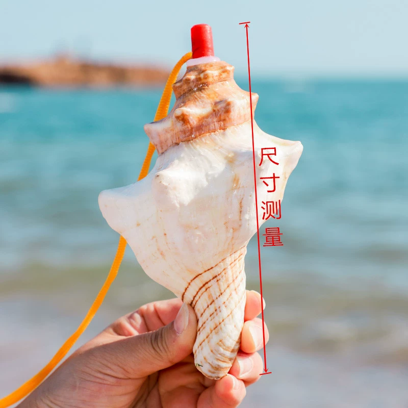 Free shipping for natural shell crafts red spiral whistle snails, island street stalls, children's gifts, Ma Xiao