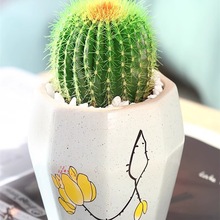 ����ֲ������������������M�������k���҃Ȼ��ܺ��B����С�Gֲ��