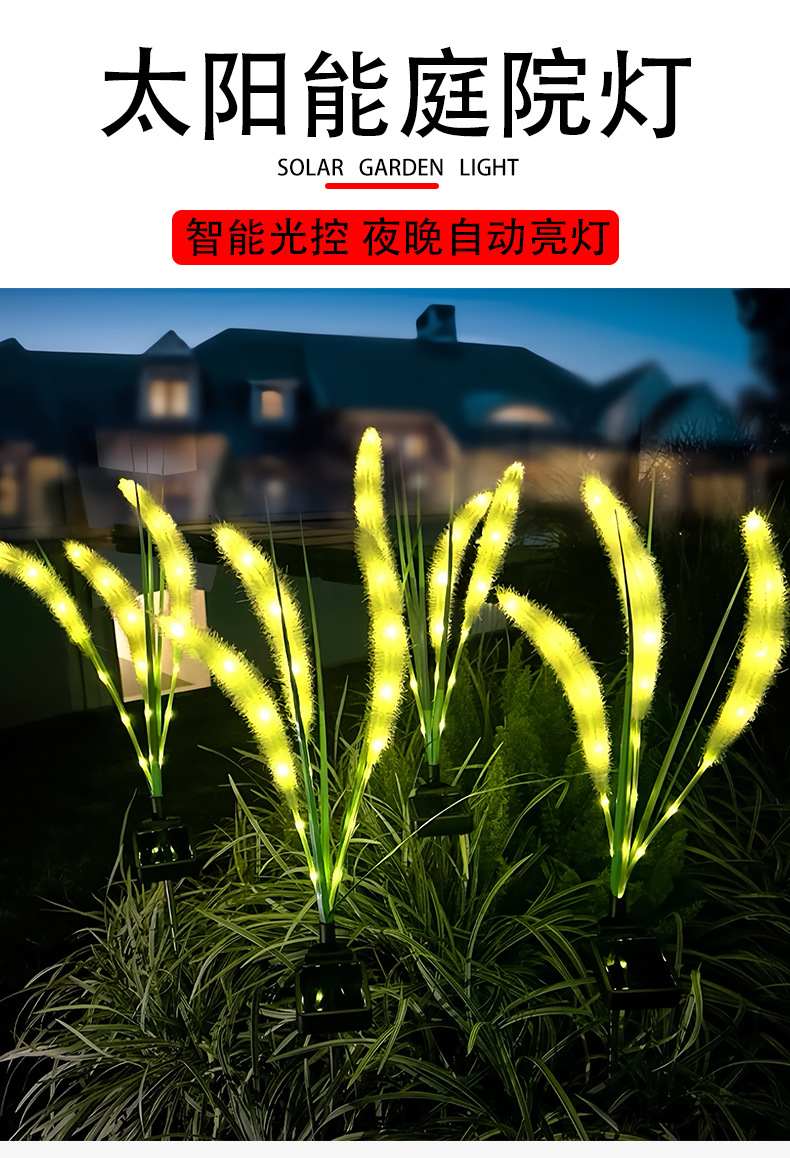 狗尾巴草_01.jpg?x-oss-process=image/format,png