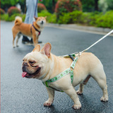 Веревочный жилет для собак, сундук с большим, средним, маленьким, маленьким, цепь собак, собачья предмет круга ходьба для собачьей веревки питомцы