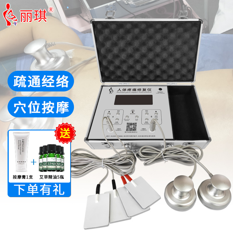 Fisioterapia bioeléctrica Meridian electroterapia instrumento moxibustión guía tee maestro a través del mundo control remoto DDS bioelectroterapia instrumento