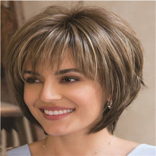 AliExpress foreign trade wig female short straight hair high temperature silk mechanism buckle net full head cover manufacturers in stock a generation of hair