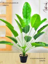 ֲ��18�^���˽������B���W��Ž��~�Gֲ�@���b��쾰�٘�羳