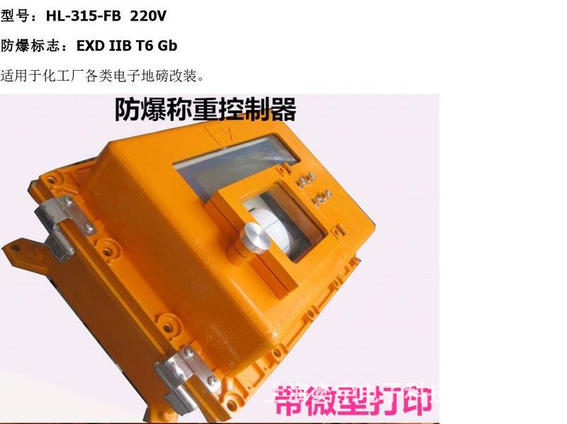 防爆电子秤