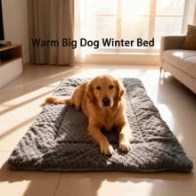 �羳��Ʒ���Ì���|�ļ�����ϴ��ë�q�؉|����˯�|���C��СȮ�|��