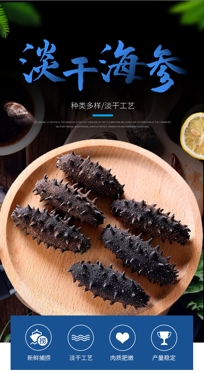 淡干海参-(1)_04