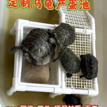 �����������µ���ˮ���a����ɳ��ĸ���µ��������ɳ�P���B��ֳ��