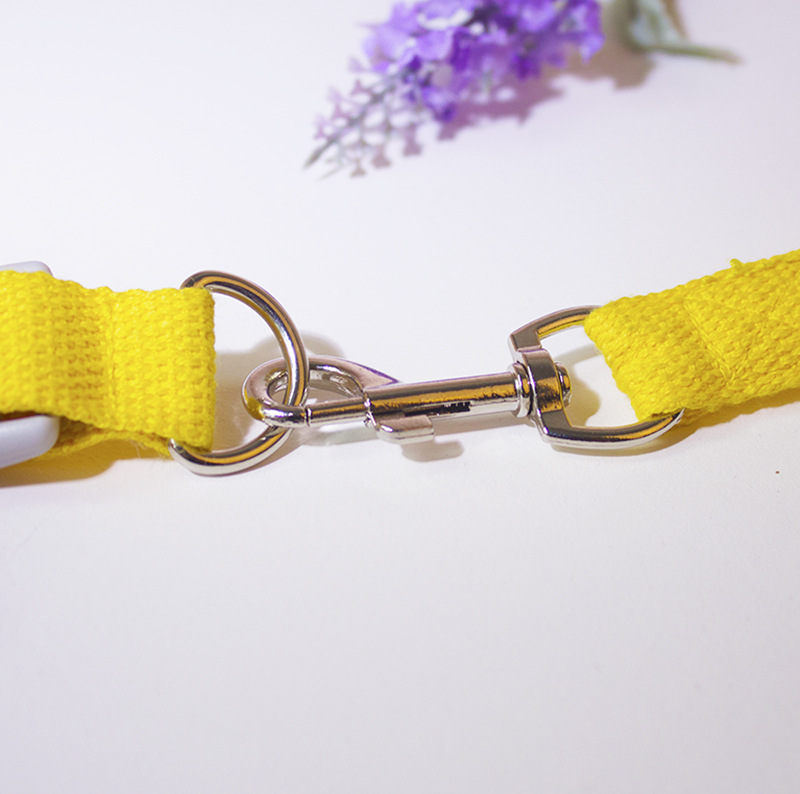 Pet Leash in Action