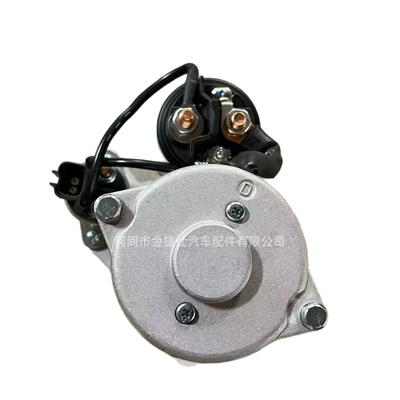 Kramer 80858095, and Terex – Starter and accessories