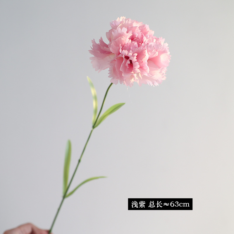 5#밝은 보라색