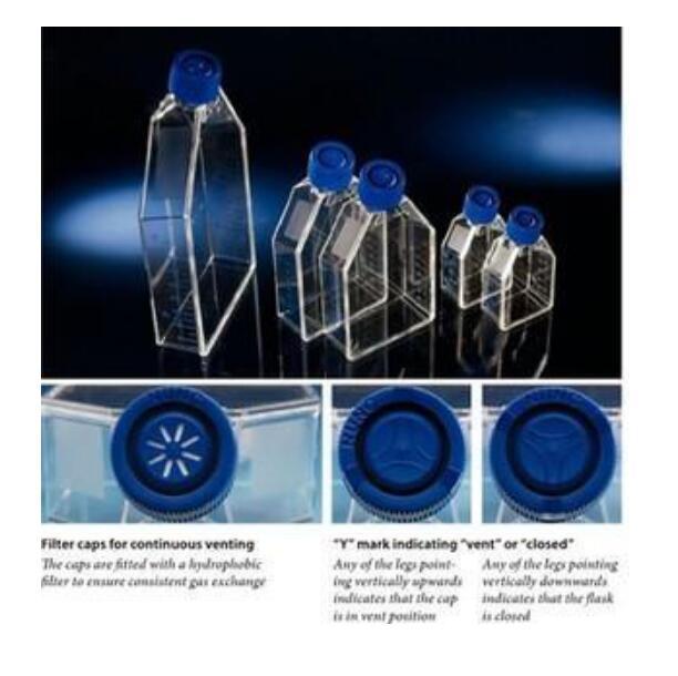 Nunc 159910 细胞培养瓶PS灭菌T25/75/175/225cm密封透气盖培养瓶