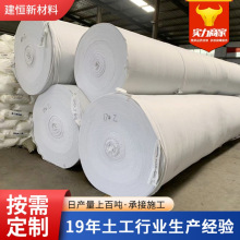 定制白色聚酯长丝土工布300克垃圾场护坡土工布透水保湿土工布
