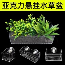 ˮ�ݺ��~��ˮ��ֲ��̶���ˮ�ݷNֲ����@͸���������ڒ��쾰�b�