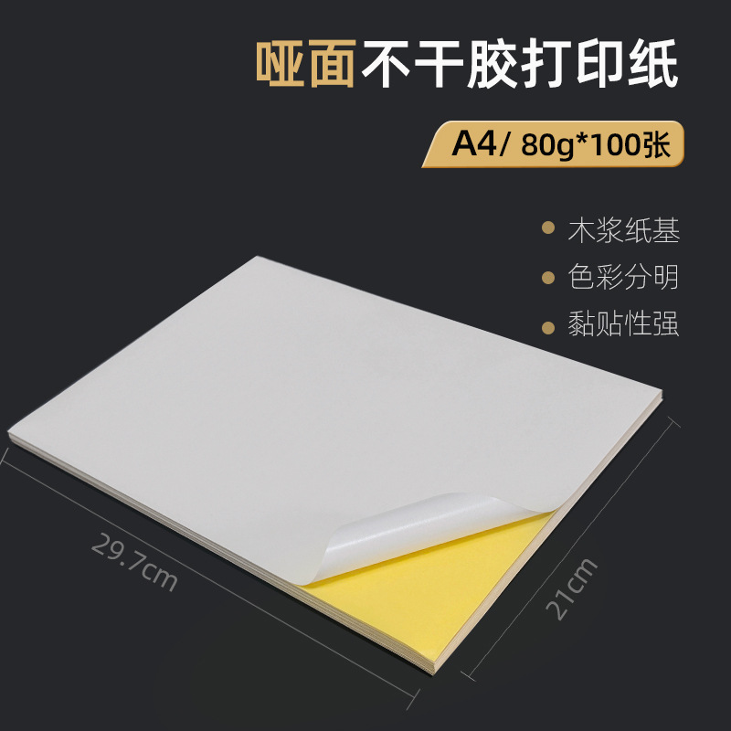 음소거 표면 A4 * 100 [레이저] 컬러 페이지