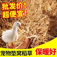 ���r���ݱ�ů���l�Ȳݽն��ɵ����^����Ȼ�����u�C�����C���Ӊ|��