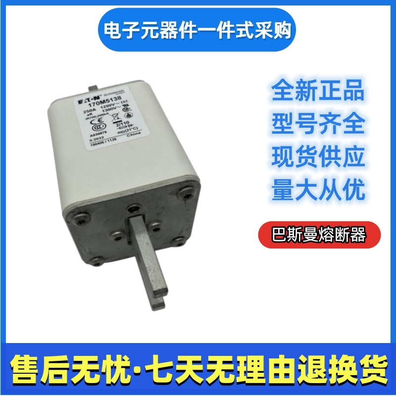 巴斯曼 bussmann 熔断器 170M5139 170M5140 170M5141 170M5142
