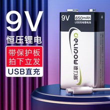 德力普9v充电电池大容量万用表方块话筒6f22九伏可充电锂电池大全