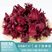 云南冻干洛神花茶玫瑰茄冻干花整朵云南特产500g新货冻干洛神花