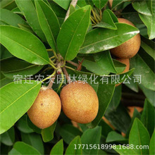 ����Խ�����Ĺ���������ļ�ܛ֦�ϱ����޽����Ĺ����Ե������Ĺ�