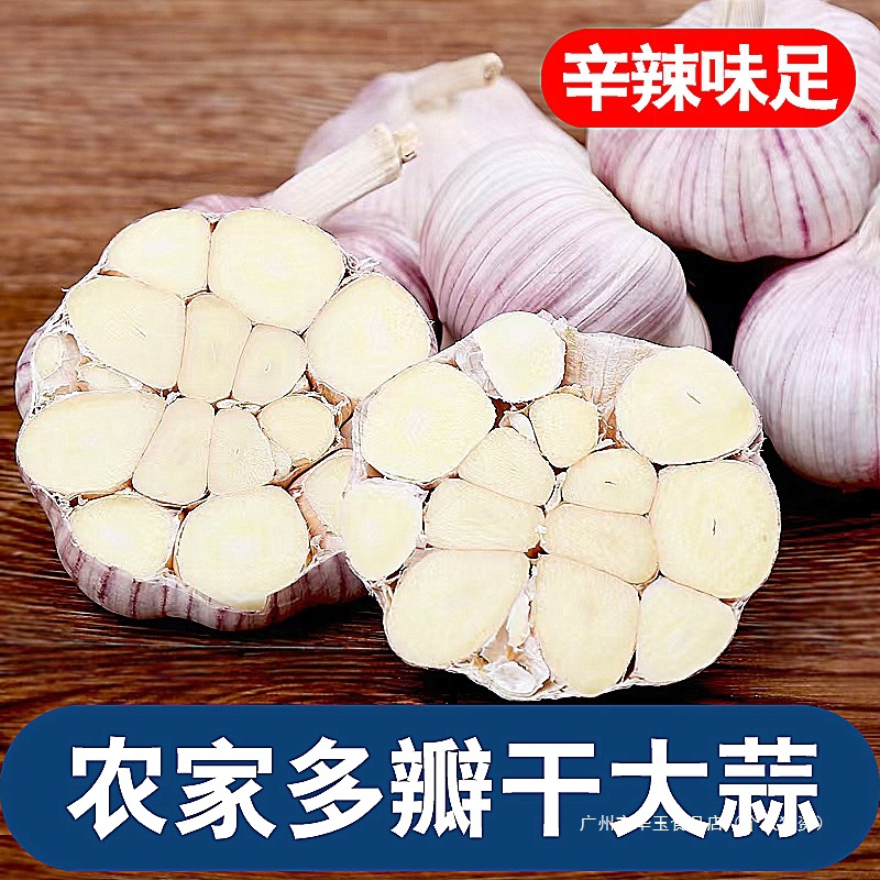 农家大蒜多瓣干大蒜头9斤蒜种籽当季新鲜蔬菜批发白皮紫皮独头蒜