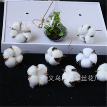 ���l������^��ɫľ�޻��^��Ȼ�ɻ�֦�޻��}�Q��Ʒ���h������