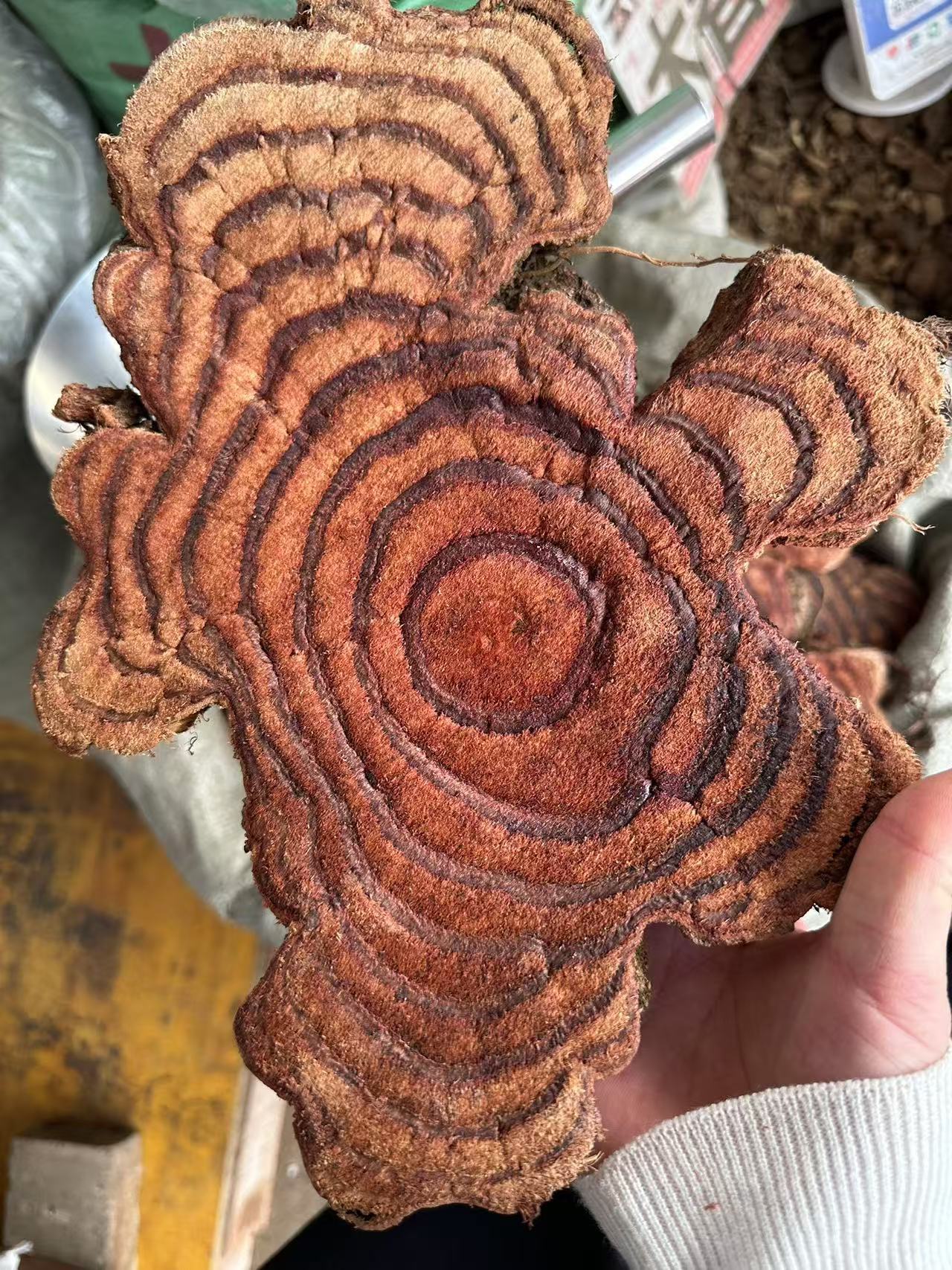 407a2508-205f-49b2-aad5-6c3f79