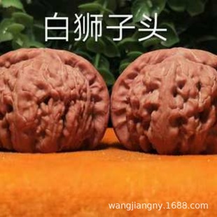 �F�ڿ̺��^����Ҙ����؎X�����y������X�y�����С�Һ���䮔��