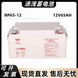YUASA汤浅蓄电池NP65-12铅酸免维护12V65Ah机房UPS后备电源蓄电池
