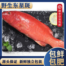 ��|�ǰ��r������M�ں�����β�|�ǰ߱��r����ʯ�ߺ��~��؛�ͶY