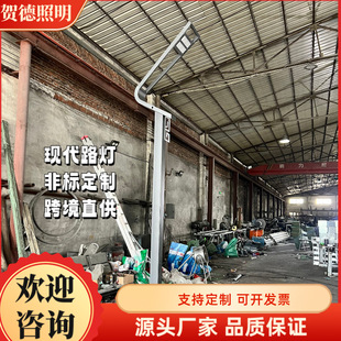 Non-Standard Customized Manufacturer Direct Supply Landscape Street Lights Municipal Road Lights Cross-Border E-Commerce Modern Simple Street Lights Garden Lights