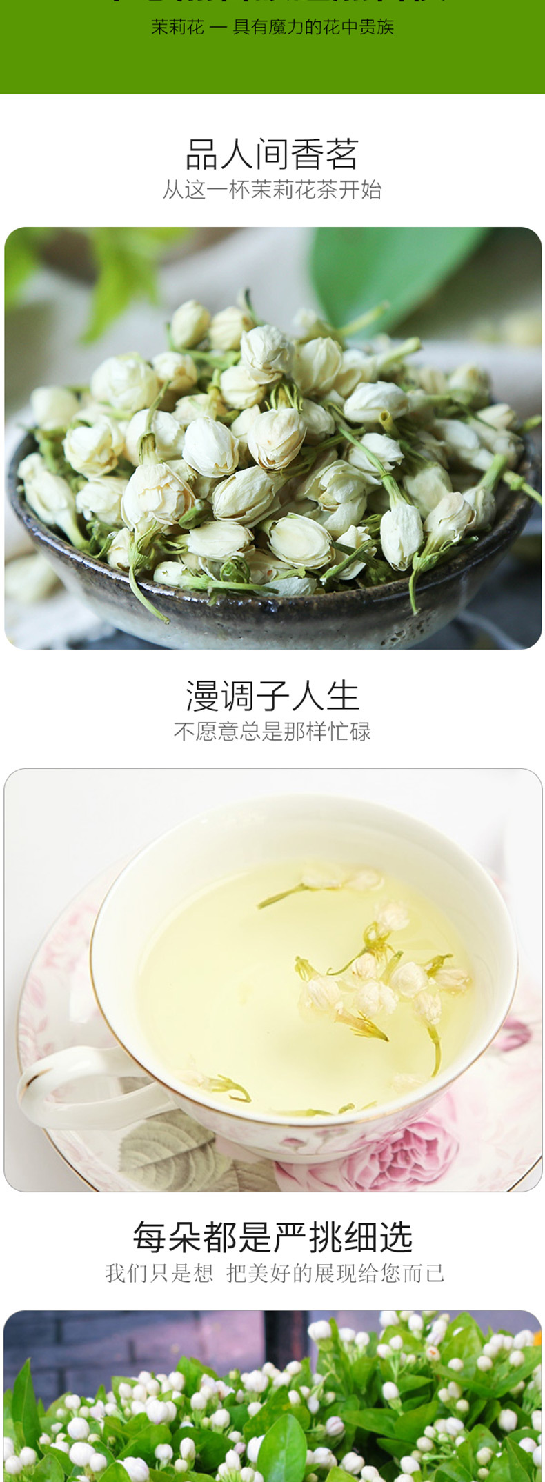 Dried Jasmine Flower Tea 35g Can Loose Floral Herbal Tea for Daily Brewing preparation