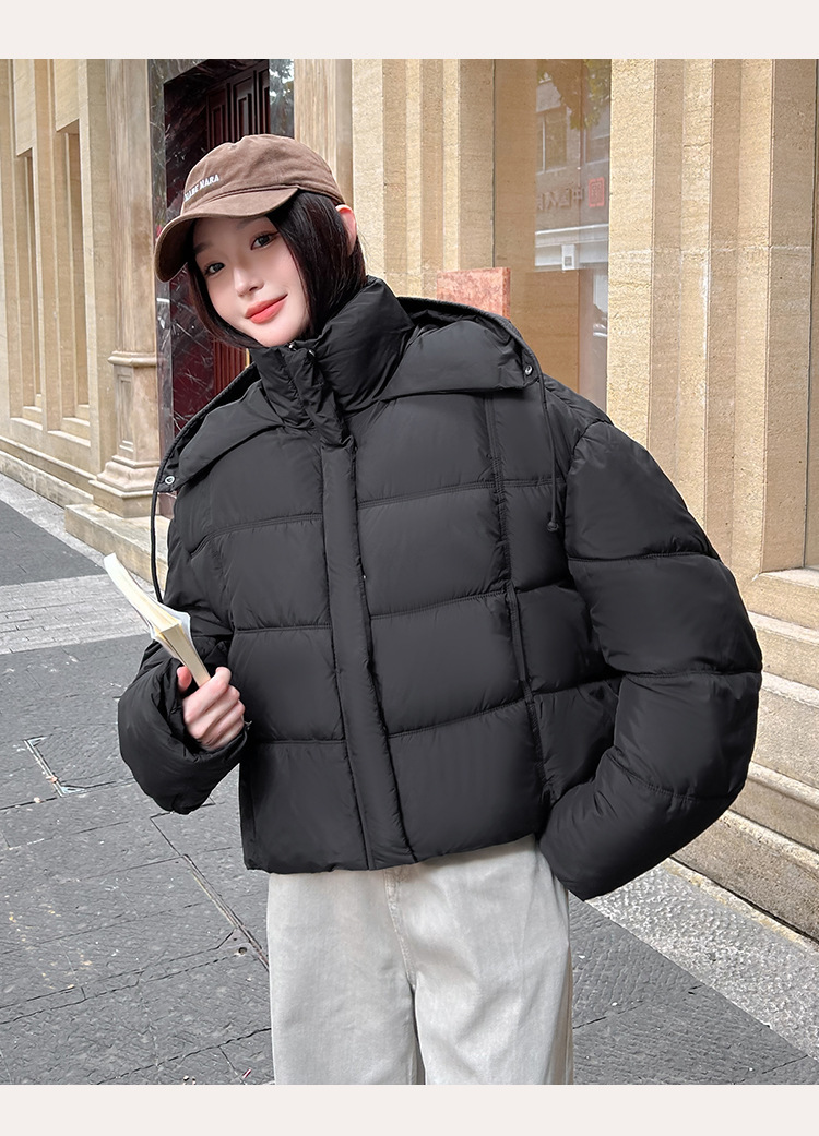 5121_19.jpg