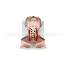 �Ϻ���������ϵ�y����ģ�Ͱ���ϵ�y����ģ���@βģ��đ������ģ��