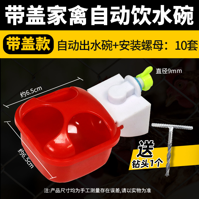 Bebedero automático para criar pollos, pollo, pato, ganso, cuenco de agua, paloma, cuenco de agua, codorniz, aves, aves, pollitos, artefacto de alimentación de agua