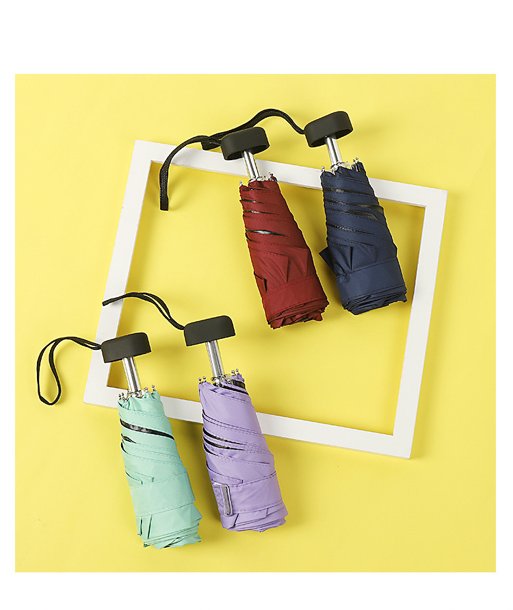 10912479738_1481513719