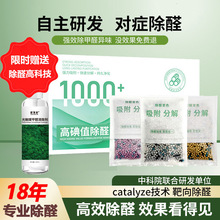 ����̿����ȩ������̿���·��b�޳�ȩ����ȩ��������ü�ȩ�ֽ��