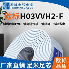 H03VVH2-F扁线2芯0.5~0.75平方欧规VDE电源线插头线PVC护套线