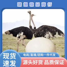 �r�B����S���]��̖�����rʳ�÷�����B�����ͶY�Y�Ё��R�d