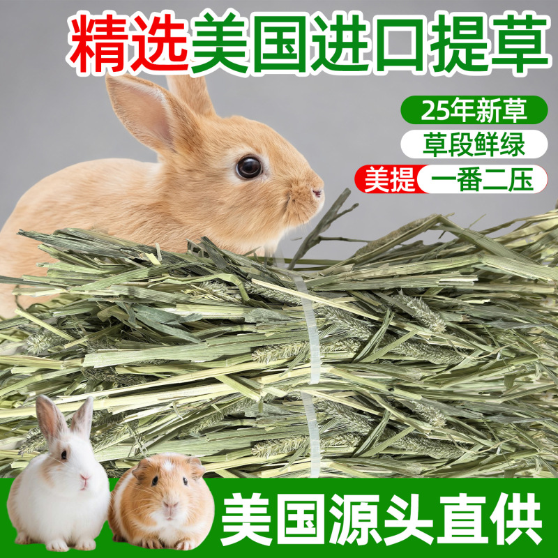 Timothy Grass Imported Hay for Rabbits, Chinchillas, Guinea Pigs, Sun-Dried Grass, Chewable Edible Grass Feed