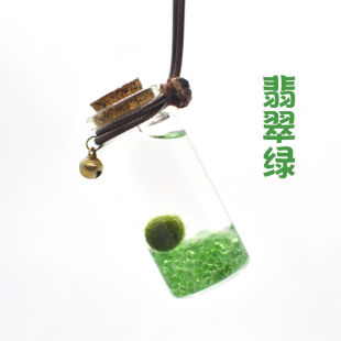 Ball Im Hydroponic O Seaweed Mar Gift Portable Plant Companion Lazy Happiness Ecological Bottle Micro Landscape Office Desktop