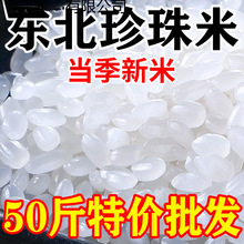 ��������2025������50��װһ��������20�ﾬ��������qiju�й�Ⱥľ