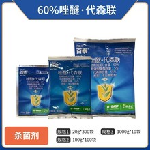 ����˹��̩60%����&middot;��ɭ�rș��������Ʒ��̩���Ѵ�ɭ