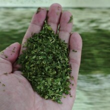 ��������ݶ�����Ƭ������ĩ����Ĩ���ԭ����������ֱ���̲�ɢװ