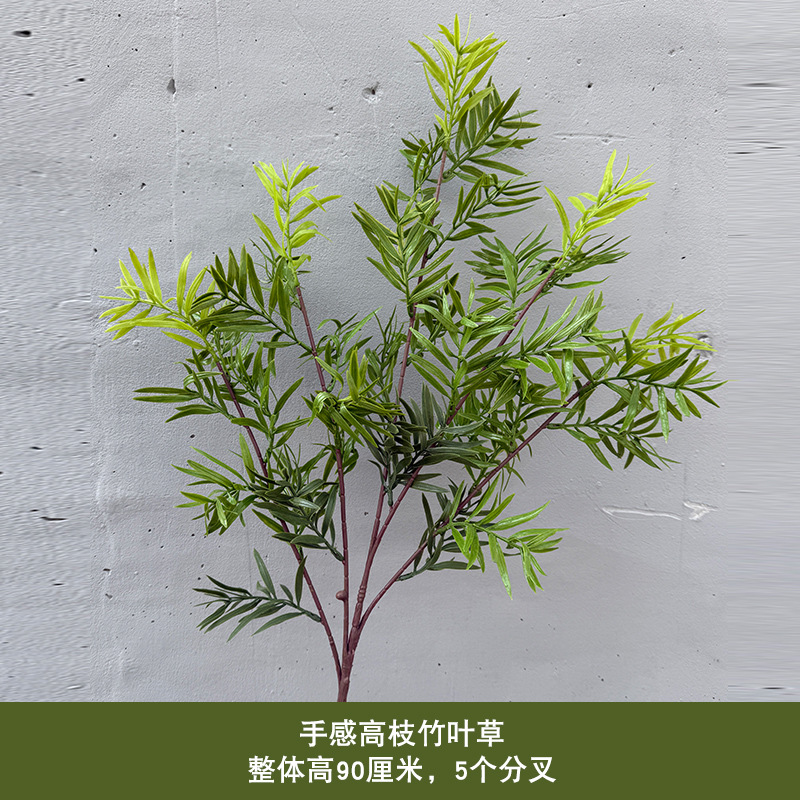 손으로 느껴지는 높은 가지 대나무 잎 잔디 - 녹색