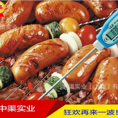 探针插入式测温仪食品液体温度测量DT-131型土壤温度计高精度