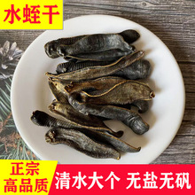 水蛭中药材清水吊干水蛭蚂蝗水蛭干吸血生水蛭粉金边干水蛭大货