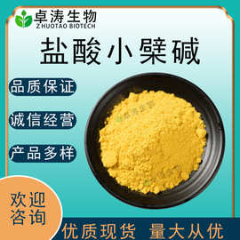 盐酸小檗碱黄连素98%85%黄连提取物原料现货批发量大优惠