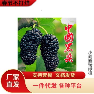 һ�����lɣ�������Ե���ʳ���ļ�ɣ���箔��Y���Ϸ������Nֲ���~